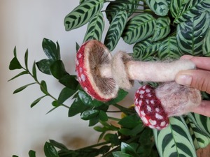 Needle Felted Fungi Workshop