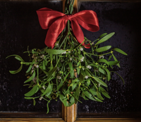 Drag Me Under the Mistletoe: Festive Drag Bingo at Ambler