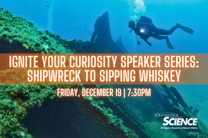 Shipwreck to Sipping Whiskey