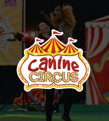Canine Circus