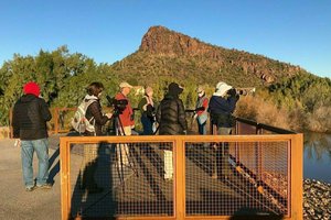 Birding El Rio Preserve