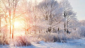 New Year Mini Retreat