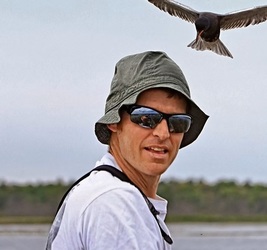 Identiflight and Real Birds   by  Caleb Putnam