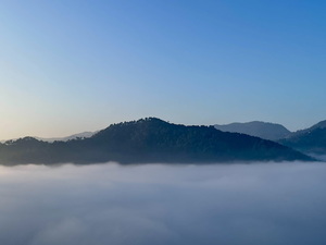 Monthly Meditation & Community Night