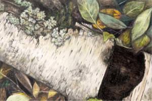 Art: The Intentional Gaze