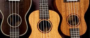Adult Ukulele Class Series
