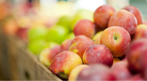 Artisan Market at Hyatt Regency Coconut Point