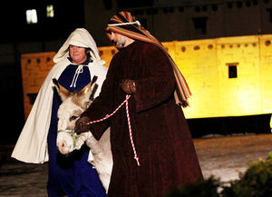 Outdoor Living Nativity