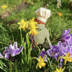 Tiny Chef, Big Impact