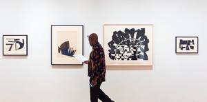 Last Look: Tour with the Curator