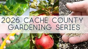 Tree Selection and Care