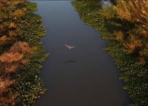 Bird's Eye View - A Selection of Photography by Ben Depp