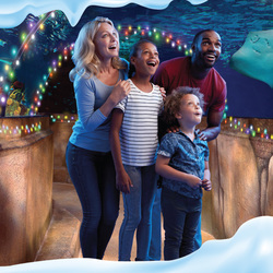 SEAson of Trees at SEA LIFE Charlotte