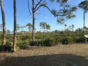 First Day Hike at Estero Bay Preserve