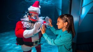 Sea Life Park Holiday Weekends featuring Scuba Santa & Underwater Elves Dec. 13-14 & Dec. 20-21