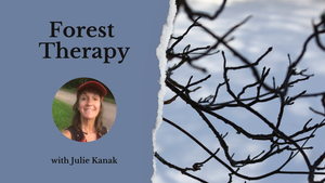 Forest Therapy