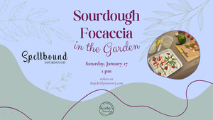 Sourdough Focaccia Workshop in the Garden at Kerby's Nursery