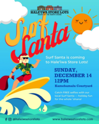 Surf Santa