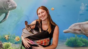 Hoppy Holidays with Pouch Pals Baby Roo Encounter at CMA