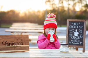 The Christmas Experience at Ancient City Farmstead