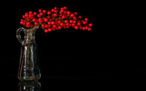 Photo Workshop: Creating Stunning Still Life Images