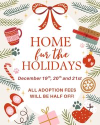 Home fur the Holidays