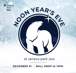 Noon Years Eve!