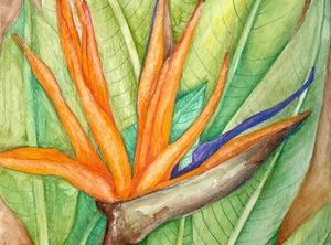 Creative Escape: Adult Art Workshop