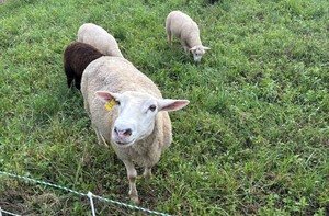 New And Beginning Farmer Seminar