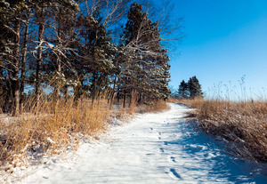 Wisdom Prairie Winter Tour