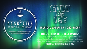 Cocktails at the Conservatory: Cold as Ice