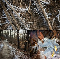 Wildlands Conservancy – Get Out! For Wellness: Stone Soup Stroll