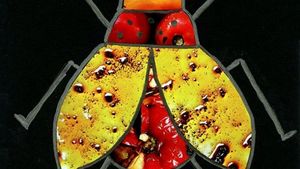 Bug Out with Beetles