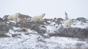 Outside Voices at the ADK-GVC Chapter Meeting