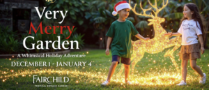 NightGarden at Fairchild Tropical Botanic Garden