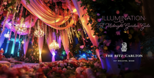 A Midnight New Year’s Garden