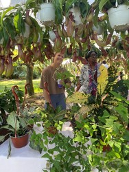 Mounts Botanical Garden Winter Plant Sale & Festival