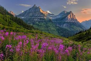 NJ Audubon: Glacier National Park: A Photographic Tour