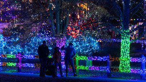 Trail of Lights at Chatfield Farms