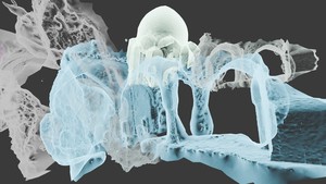 Sadaf Sadri: De/Angular