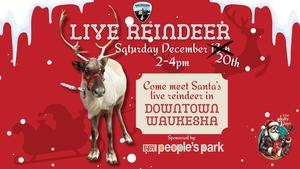 Santa’s Reindeer Meet & Greet
