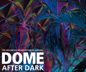 Dome After Dark