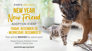 New Year, New Friend Adoption Event