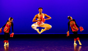 “Year of the Red Fire Horse Lunar New Year Celebration”