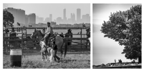 Eli Williamson's "Fellowship" at Evanston Art Center