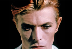 The Man Who Fell To Earth