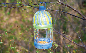 IDD-Friendly Crafting - DIY Birdfeeders
