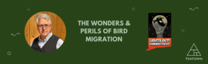 The Wonders and Perils of Bird Migration