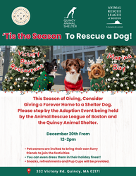Animal Rescue League of Boston and Quincy Animal Shelter To Host Dog Adoption Event at Victory Point