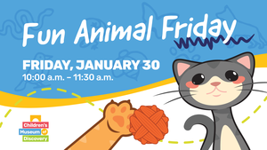 Fun Animal Friday: Cats